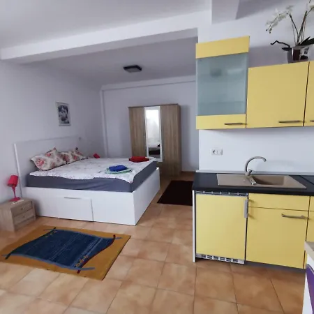 Fitness House With Garden Constanţa