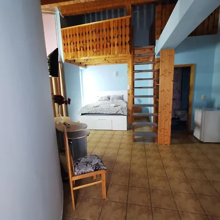 Fitness House With Garden 4* 康斯坦察